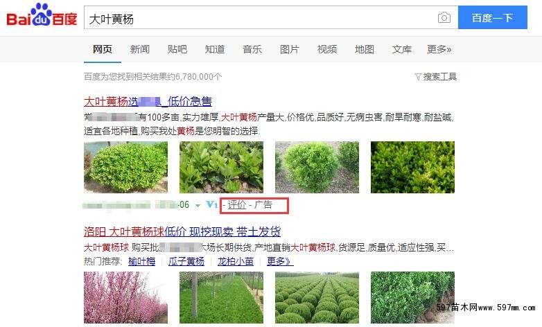 苗木推广百度搜索结果页