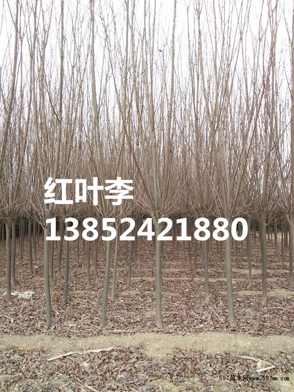 规格全,数量大,价格低 规格全,数量大,价格低