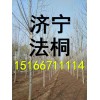 12ͩռ۸15ַͩ