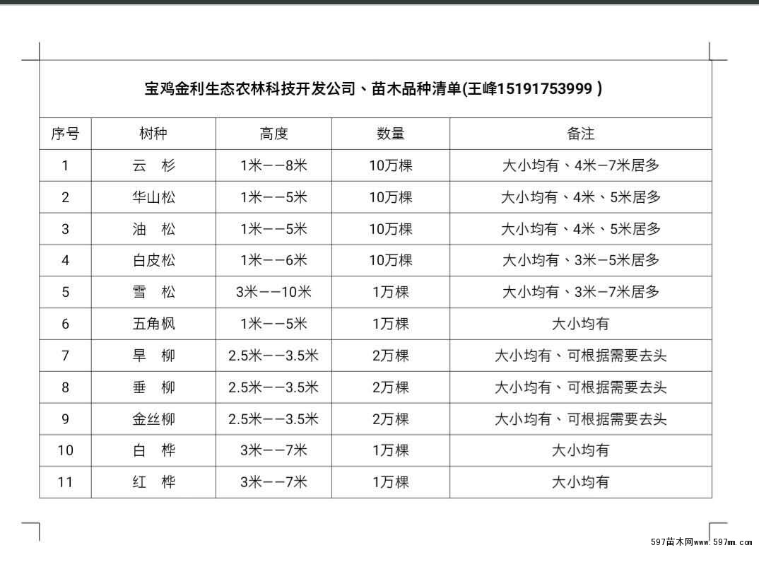 本公司苗木清单 本公司苗木清单