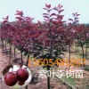 7Ҷ89Ҷ10Ҷ