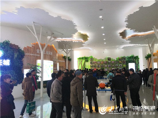中国·任城花木博览会暨第十三届李营法桐节今日开幕