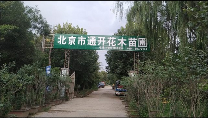 北京市通开花木苗圃