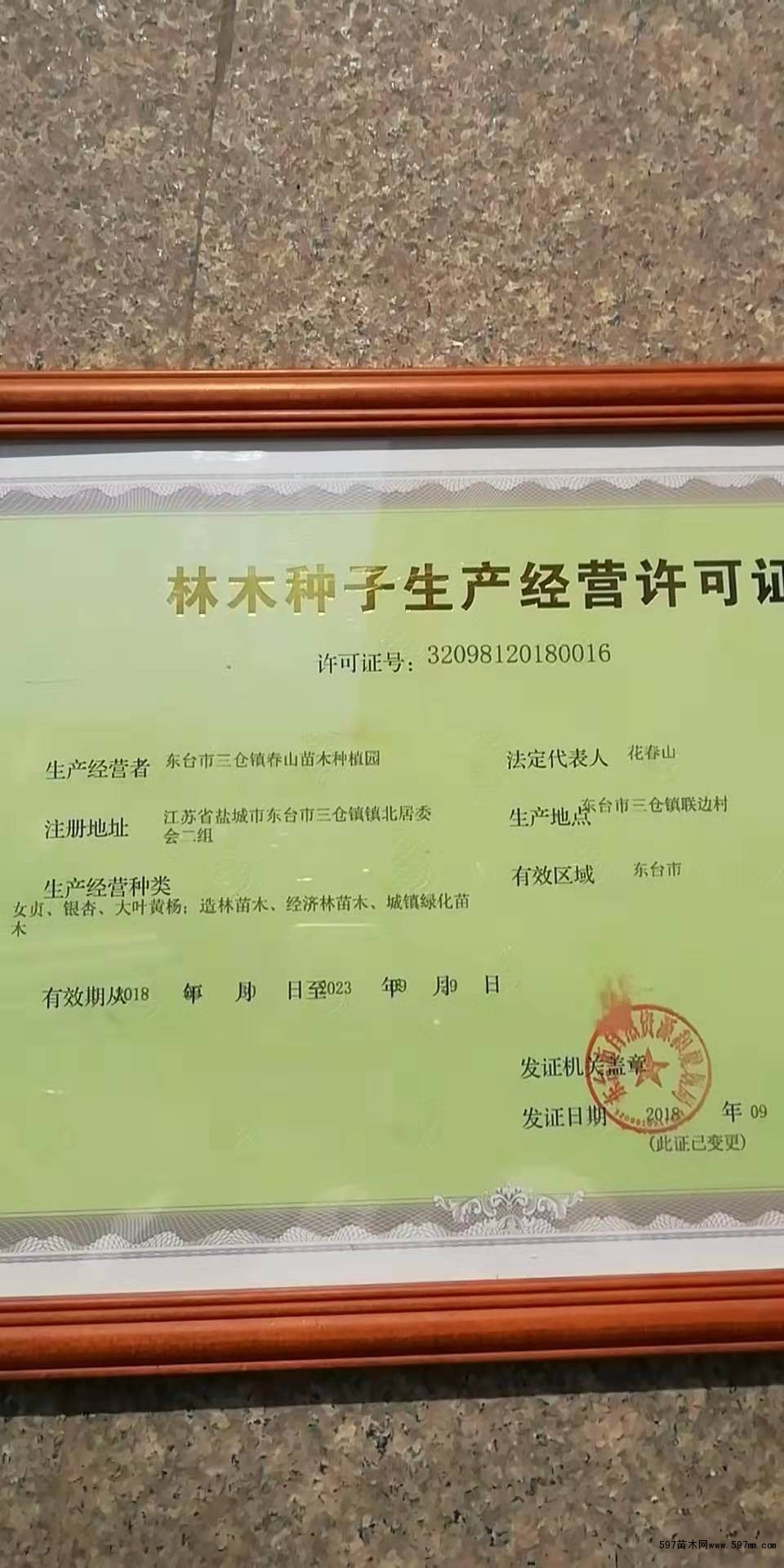 江苏东台市三仓镇春山苗木种植园 江苏东台市三仓镇春山苗木种植园