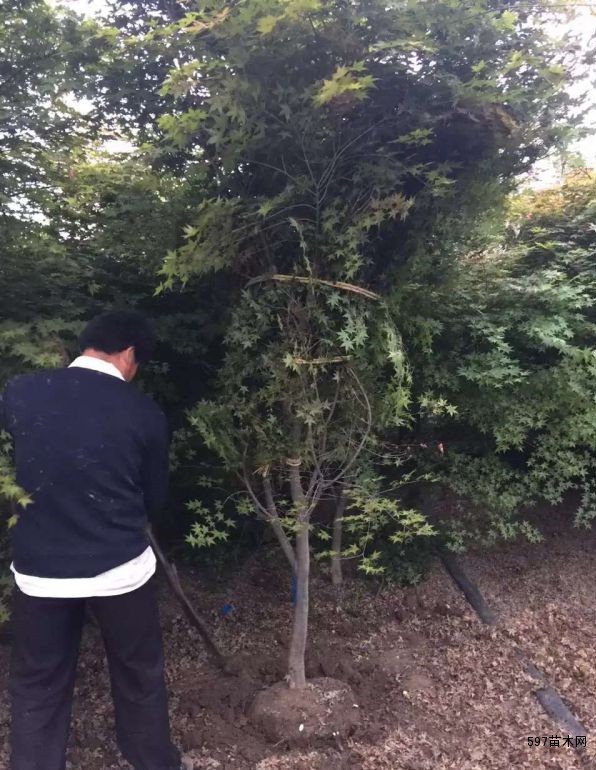 电话联系,询问价格 电话联系,询问价格