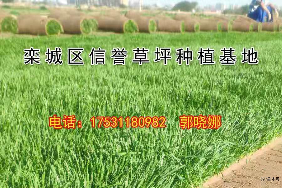 正在起草,欢迎大家来 正在起草,欢迎大家来