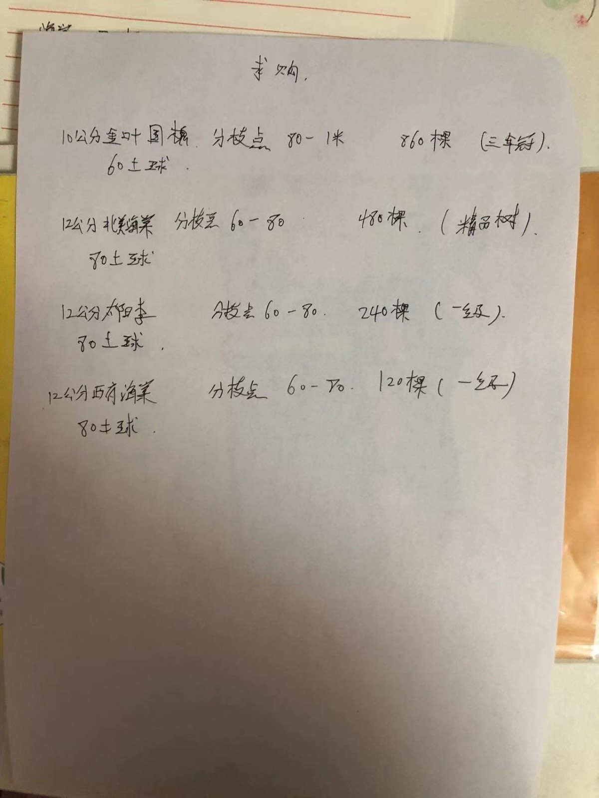 紫葉李