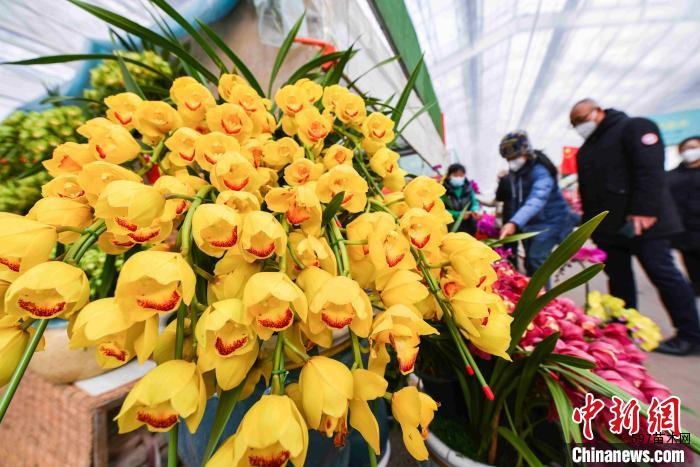市民在中国青州花卉苗木交易中心选购鲜花。　王继林 摄