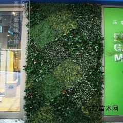 植物墙北京仿真立体墙定做