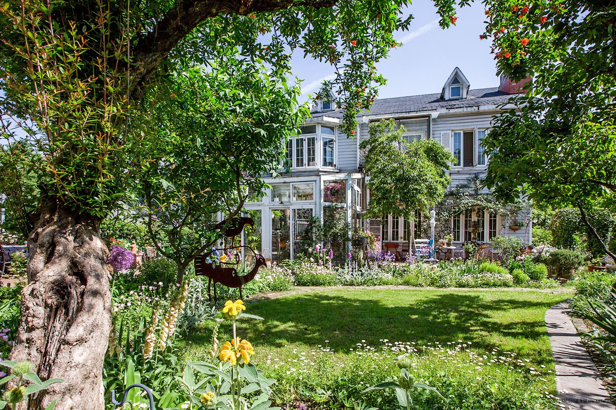 用苗木花卉打造自己的私人花园