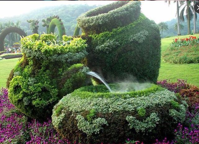 园林绿化工作中 如何更好的为植物进行造型